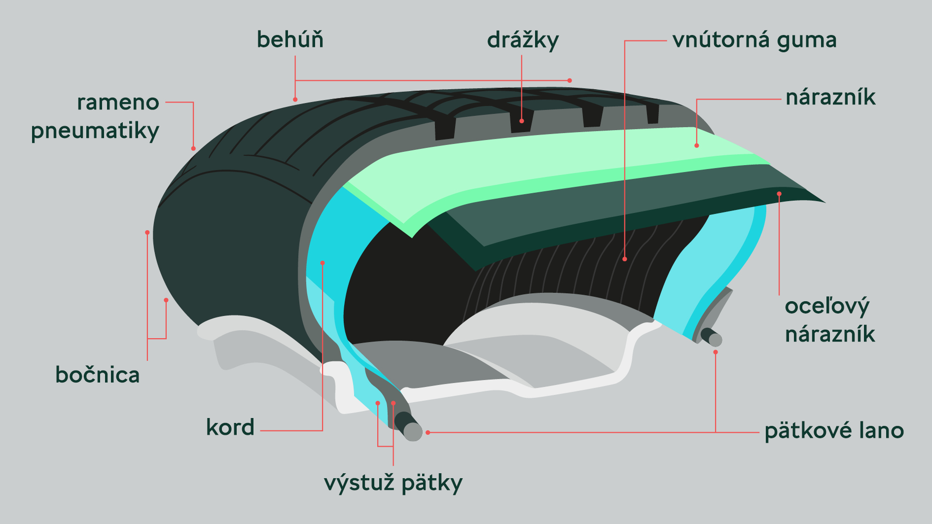 skodapneu-sk_258a609c