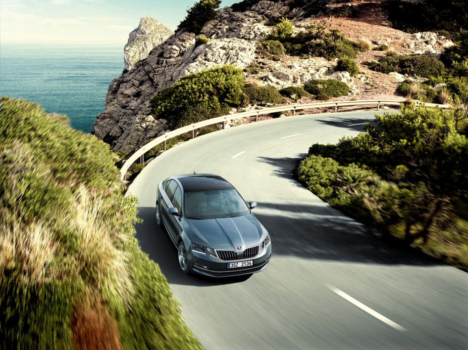 OCTAVIA Dynamic Picture 1_res