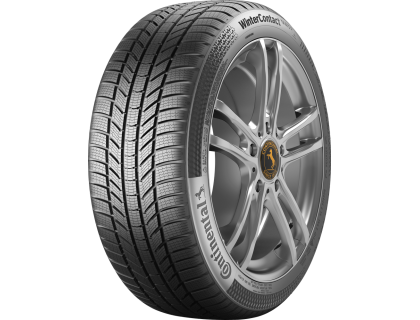 Continental Winter Contact TS 870 P