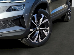 Škoda Karoq Karoq 2.0 TDI EVO SCR Top Selection 4x4 DSG