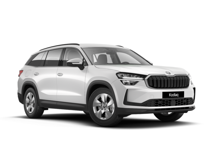 396930 - Kodiaq Selection 2,0 TDI 142kW 7-stupňový automat 4x4, 2026