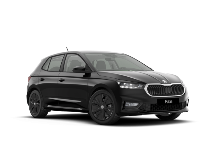 417808- Fabia Selection 1,0 TSI 85 kW 6-stup. mech, 2026